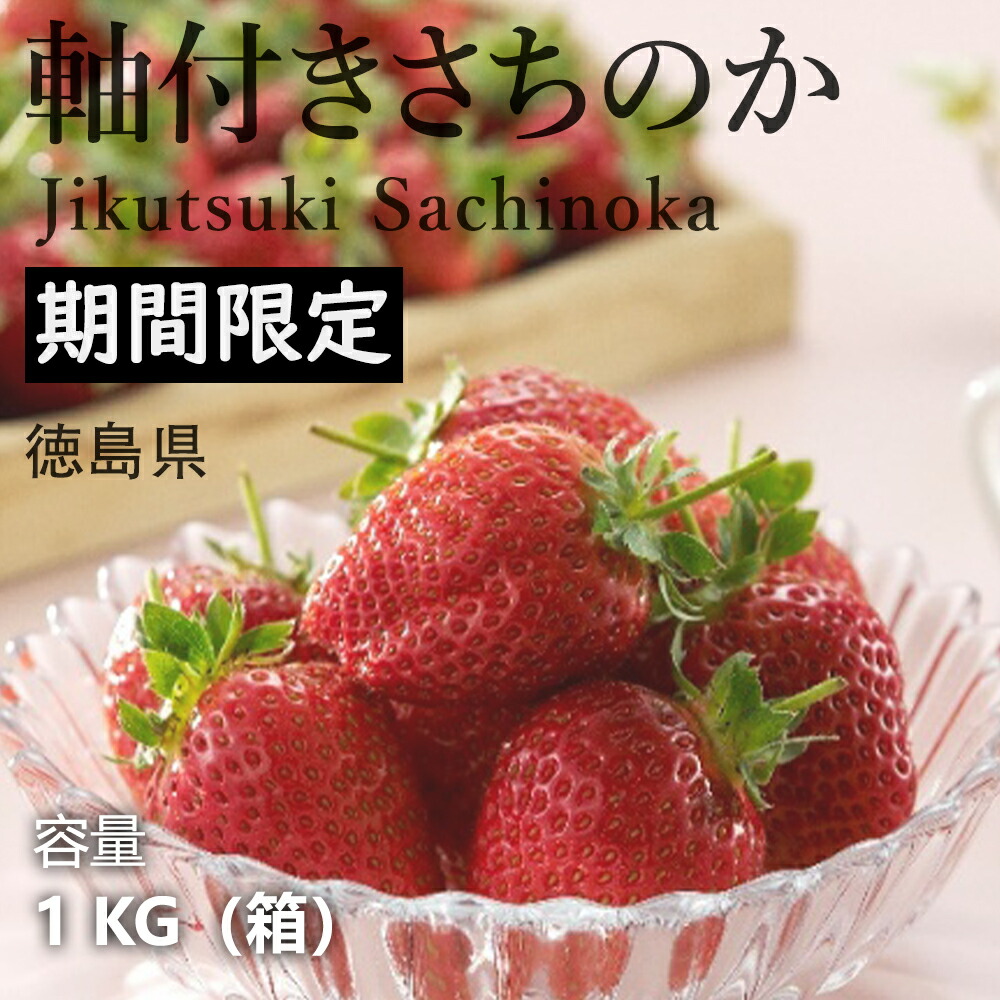 楽天市場】予約販売期間中 ｜徳島県産 いちご 軸付きさちのか 贈呈品