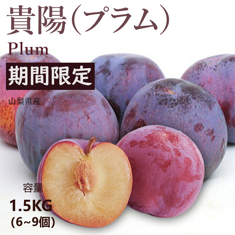 夏ギフト お中元 くだもの フルーツ すもも 山梨県産 貴陽（プラム）(約1.5Kg 6～9個入り) 気品あふれる見た目と、格別な味わいは、大切な方への贈り物に最適です。 夏の味覚 旬の味覚 すもも プレゼント 果物ギフト 冷蔵配送 お取り寄せグルメ
