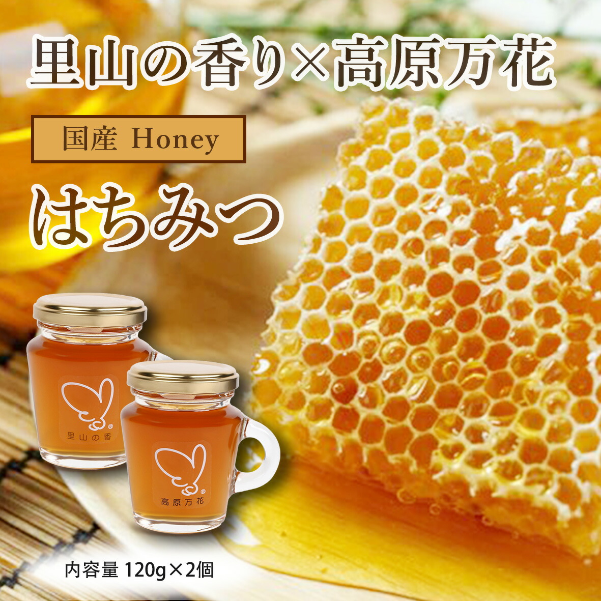 ニホンミツバチのはちみつ 1200g ニホンミツバチの蜂蜜・和蜜1200g×2本