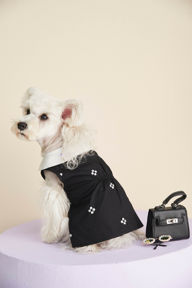 おしゃれ Uofeshop 翌日発送 犬服 高級 ワンピース ノースリーブ 夏春 ペット服 ベスト 子犬服 犬猫女子犬 コスチューム服 ドッグウェア 洋服 猫服 通気 お姫様 ペットウェア 可愛い 日焼き防ぐ 通気性 柔らかい 小型犬 中型犬 記念撮影 お出かけ 部屋着 抜け毛防止 散歩 おしゃれ Uofeshop 翌日発送 犬服 高級 ワンピース ノースリーブ 夏春 ペット服 ベスト 子犬服 犬猫女子犬 コスチューム服 ドッグウェア 洋服 猫服 通気 お姫様 ペットウェア 可愛い 日焼き防ぐ 通気性 柔らかい 小型犬 中型犬 記念撮影 お出かけ 部屋着 抜け毛防止 散歩