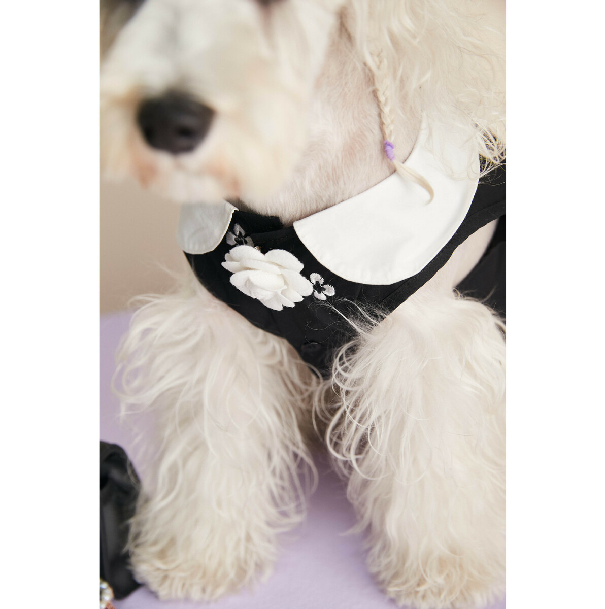 おしゃれ Uofeshop 翌日発送 犬服 高級 ワンピース ノースリーブ 夏春 ペット服 ベスト 子犬服 犬猫女子犬 コスチューム服 ドッグウェア 洋服 猫服 通気 お姫様 ペットウェア 可愛い 日焼き防ぐ 通気性 柔らかい 小型犬 中型犬 記念撮影 お出かけ 部屋着 抜け毛防止 散歩 おしゃれ Uofeshop 翌日発送 犬服 高級 ワンピース ノースリーブ 夏春 ペット服 ベスト 子犬服 犬猫女子犬 コスチューム服 ドッグウェア 洋服 猫服 通気 お姫様 ペットウェア 可愛い 日焼き防ぐ 通気性 柔らかい 小型犬 中型犬 記念撮影 お出かけ 部屋着 抜け毛防止 散歩