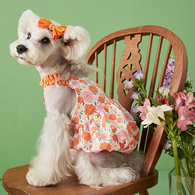 Uofeshop 犬服 Tシャツ ワンピース ノースリーブ 夏春 ペット服 子犬服 犬猫女子犬 コスチューム服 ドッグウェア 洋服 猫服 通気 お姫様 ペットウェア 可愛い 日焼き防ぐ 通気性 柔らかい 小型犬 中型犬 記念撮影 お出かけ 部屋着 抜け毛防止 散歩 服だけです 定番の中古商品 Uofeshop 犬服 Tシャツ ワンピース ノースリーブ 夏春 ペット服 子犬服 犬猫女子犬 コスチューム服 ドッグウェア 洋服 猫服 通気 お姫様 ペットウェア 可愛い 日焼き防ぐ 通気性 柔らかい 小型犬 中型犬 記念撮影 お出かけ 部屋着 抜け毛防止 散歩 服だけです 定番の中古商品