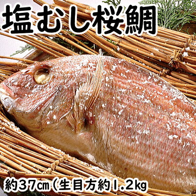 塩むし桜鯛 【生目方1.2キロ】 敬老の日 鯛 真鯛 桜鯛 おくいぞめ お食い初め おたべはじめ ギフト 贈物 タイ 無添加  国産 天然 鯛めし マダイ 天然鯛 結婚内祝い お歳暮