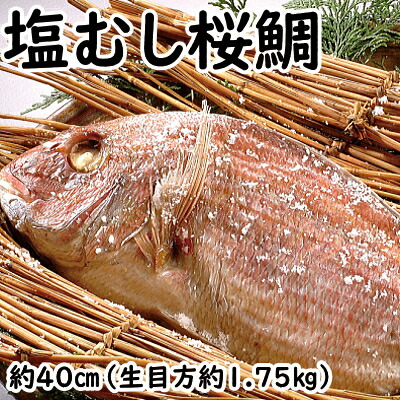 塩むし桜鯛 【生目方1.75キロ】 敬老の日 鯛 真鯛 桜鯛 おくいぞめ お食い初め おたべはじめ ギフト 贈物 お歳暮  たい タイ 無添加  国産 天然 鯛めし マダイ 天然 丸ごと１匹 天然鯛