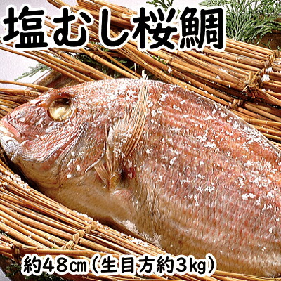 塩むし桜鯛 【生目方3キロ】 敬老の日 鯛 真鯛 桜鯛 おくいぞめ お食い初め おたべはじめ ギフト 贈物 お歳暮  たい タイ 無添加  国産 天然 鯛めし マダイ 天然 丸ごと１匹 天然鯛