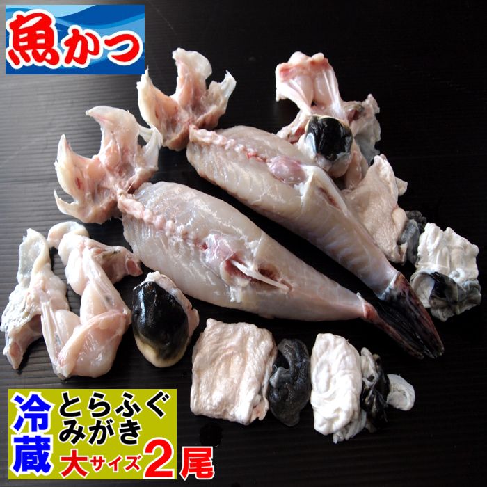 みがき ふぐ 冷蔵 フグ お刺身用 大サイズふぐ みがき 2尾セット 河豚 トラフグ 身欠き てっさ てっちり ふぐ刺し ふぐ鍋 河豚 ふぐなべ ふぐひれ ふぐ皮付 ふぐ とらふぐ ふぐ刺身 ふぐ あら ふぐ ひれ 酒 ふぐ 身欠き 送料無料|山口県産海鮮広場 魚かつ