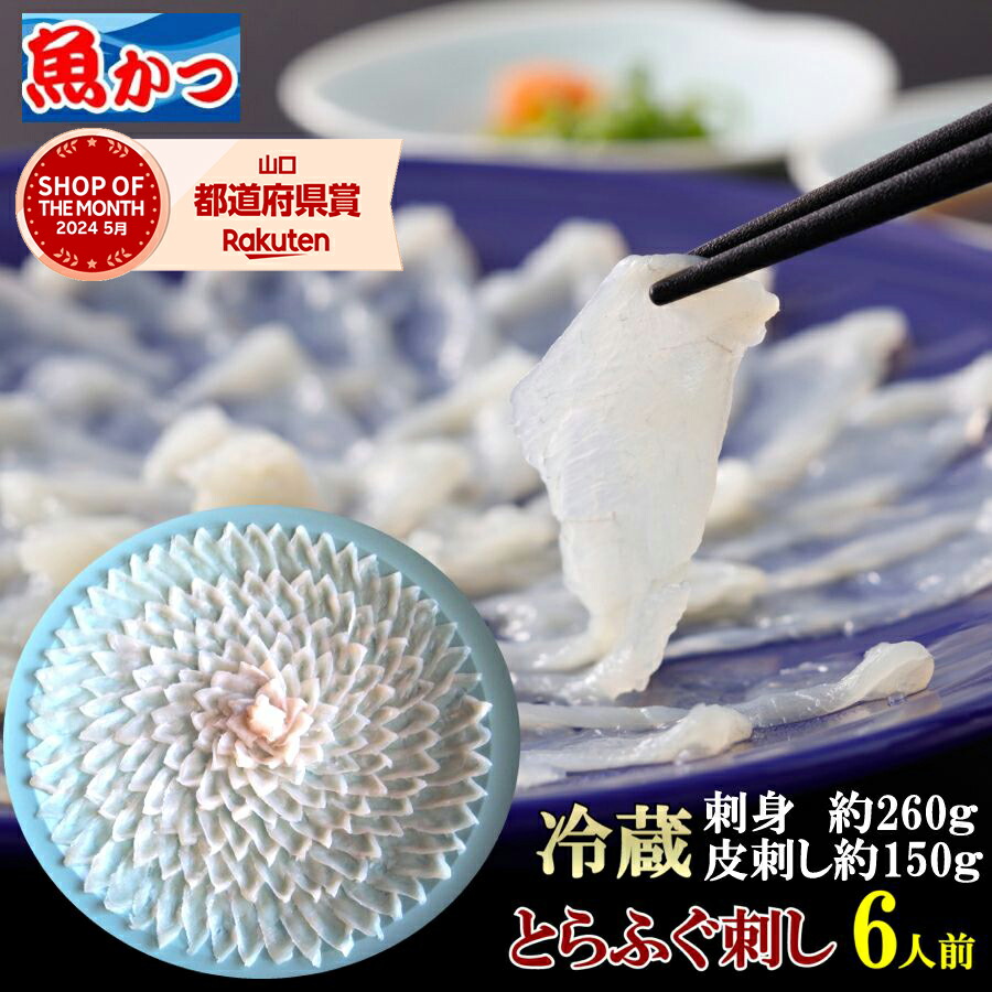 ふぐ刺し 冷蔵 6人前 とらふぐ ギフト 大皿39cm 国産 ふぐ刺身 約260g ふぐ皮 約150g てっさ ふぐ 山口 お取り寄せ お中元 夏ギフト｜山口県産海鮮広場　魚かつ