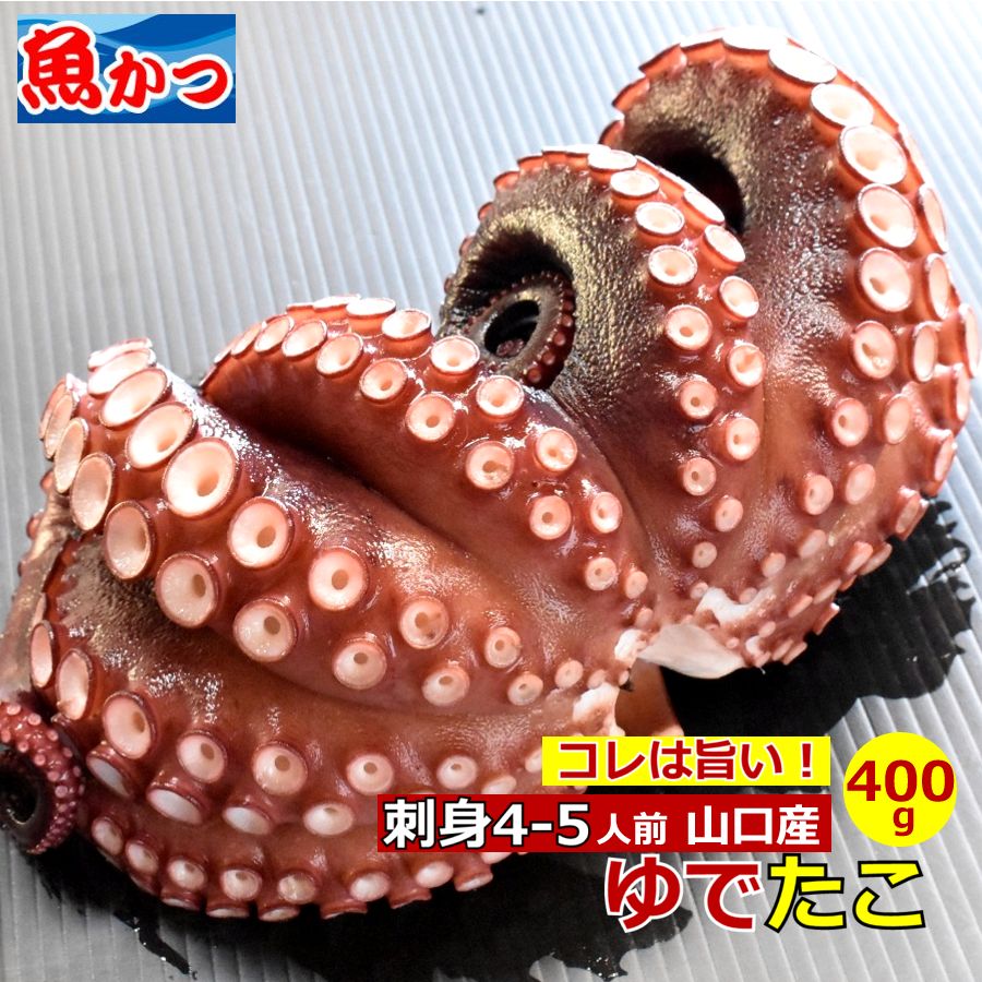 楽天市場 送料無料 冷蔵 ボイル たこ約400ｇ 4 5人前 刺身用お取り寄せグルメ 刺身簡単 お刺身 タコ 酢の物 唐揚さしみ てんぷら からあげ 煮物送料無料 茹で たこ 足山口産 ゆでたこ たこ刺身真蛸 酢の物 海鮮 産地直送おさしみ 瀬戸内海 マダコ 山口県産海鮮広場 魚かつ