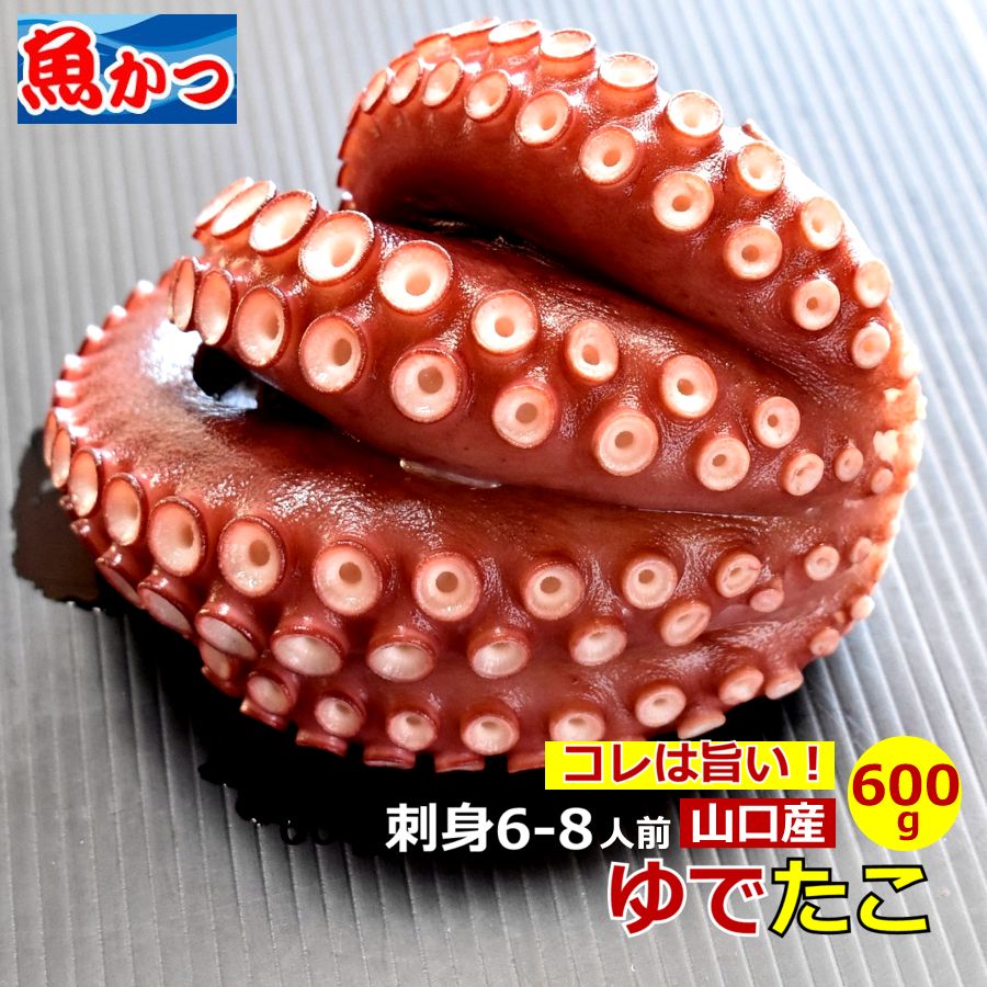 楽天市場 兵庫県赤穂産 ボイルたこ 頭付き Lサイズ 800g 1k 高級 新鮮 添加物無し 刺身用 使いやすく真蛸 真たこ ゆでタコ マダコ 湯だこ たこ 酢タコ 蛸 国産 ボイルタコ たこ焼き 産地直送 お刺身 タコブツ 酢ダコ マリネ 天プラ 唐揚げ タコ飯 タコ焼き Oyster