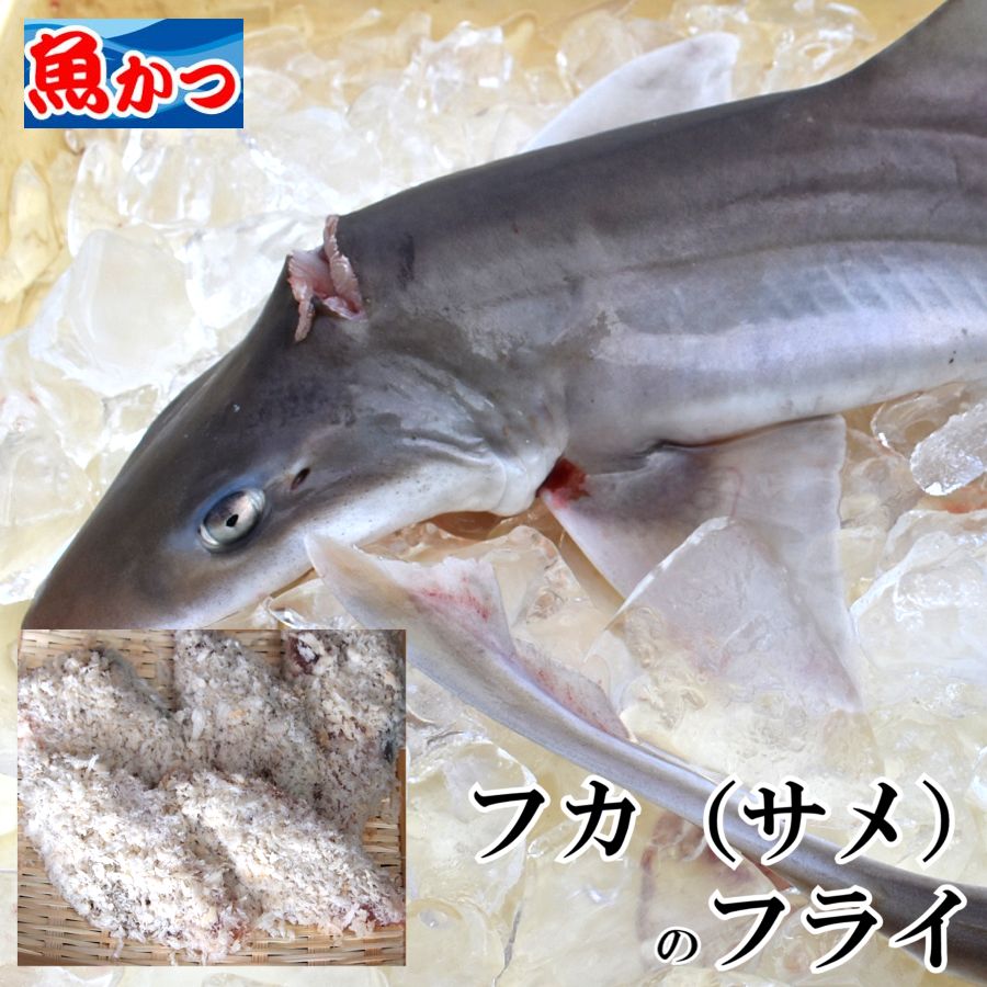 簡単調理 お手軽 おかず ギフト セット セット5種類 パン粉付セット便利 フライ フライ5品セット ホームパーティ 三昧お弁当 冷凍魚屋の 大活躍惣菜 家族で食べたい 惣菜 揚げ物 本格 白身 白身魚 詰め合わせ 赤身 運動会 青物惣菜 魚 日本製 揚げ物