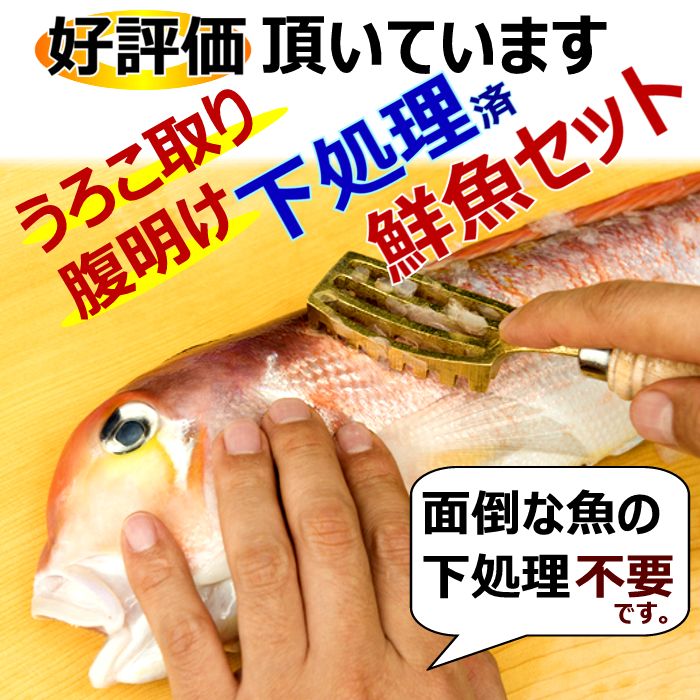 楽天市場 下処理鮮魚セット魚 詰め合わせ 送料無料刺身 鮮魚 詰め合わせ刺身 盛り合わせ 寿司海鮮 詰め合わせ海鮮セット 鮮魚 下処理お取り寄せグルメ 刺身 鮮魚 直送海鮮福袋 さしみ 焼き魚 煮魚美味しい 魚 海鮮セット 実用的 山口県産海鮮広場 魚かつ