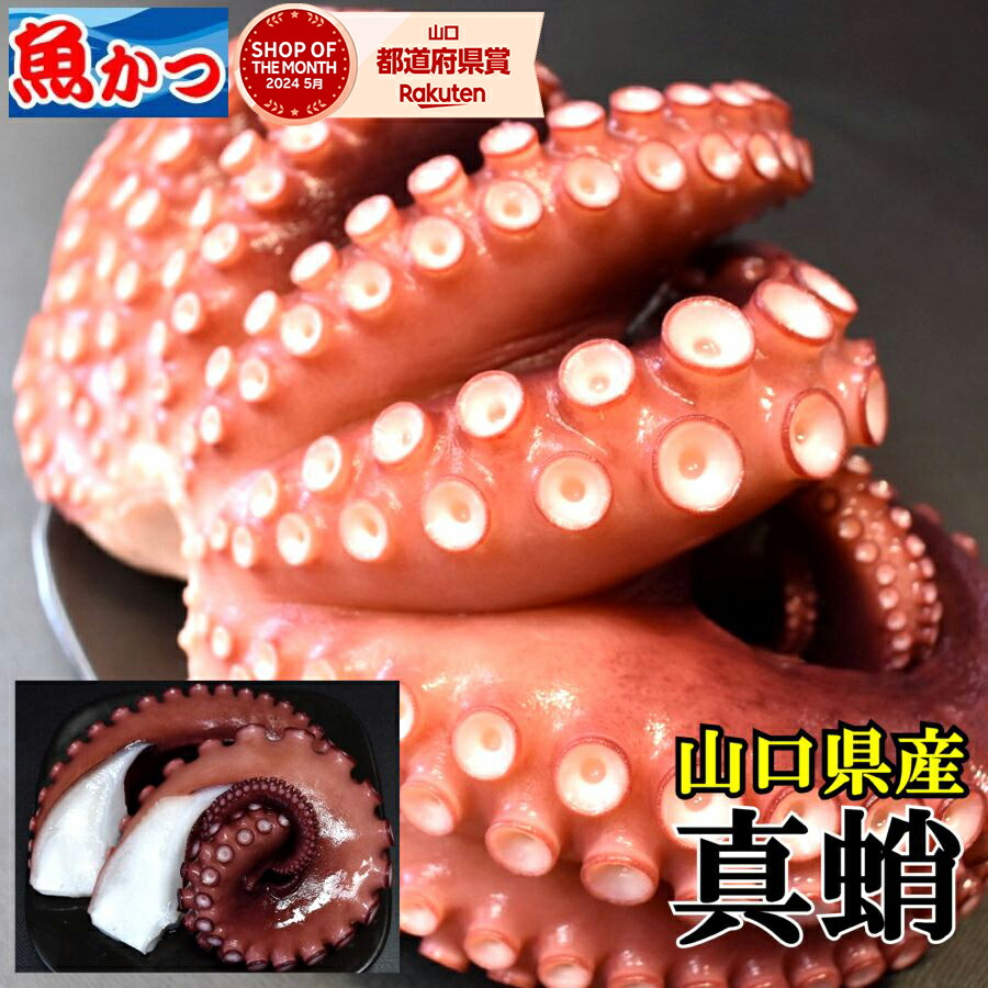 国内産 刺身 たこ 山口 水揚げ プリプリ食感 たこ 刺身 ボイル タコ 約450ｇ 5-6人前 刺身用 冷凍  便利 簡単 酢の物 唐揚 茹で たこ足 蛸 お刺身 山口産 ゆでたこ たこ刺身 海鮮 国産 タコ 真蛸 冷凍 海鮮 瀬戸内海 地ダコ マダコ 凍眠 魚 ギフト