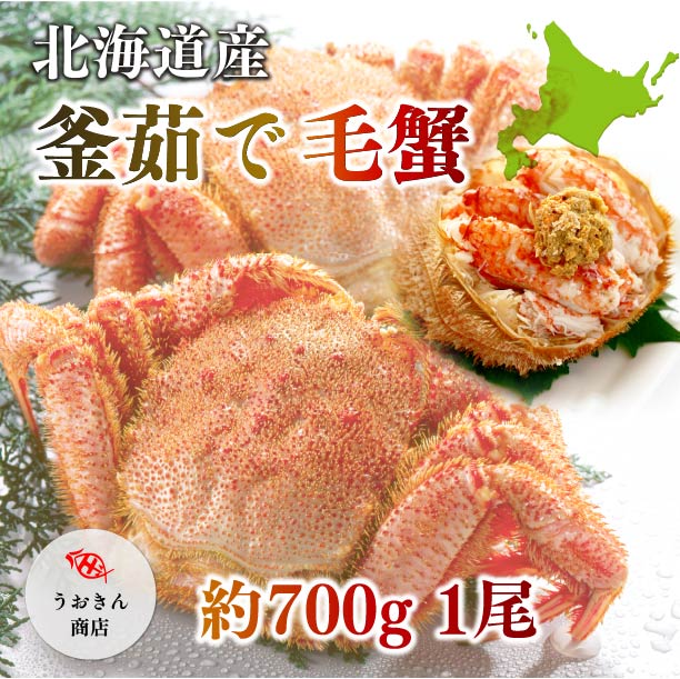 北海道産 毛ガニ(送料無料700g前後 大サイズ お年賀 お歳暮 お中元 定番ギフト カニ 毛蟹 毛がに お取り寄せ グルメ)浜茹で 急速冷凍 濃厚 ご褒美 贅沢 豪華 ご馳走 記念日 お祝い 旨み プロ 目利き 鮮魚店直送