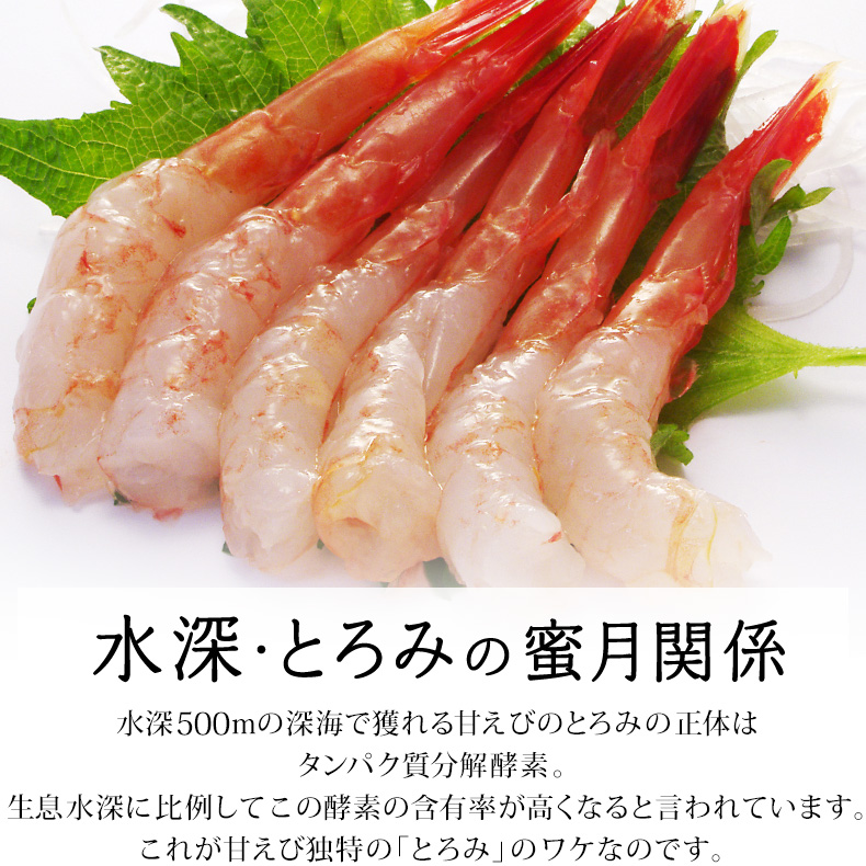 97%OFF!】 越前産 甘エビ 500g たっぷり40〜50尾 約4人〜5人前 鮮度にこだわり酸化防止剤 添加物不使用 甘えび本来の甘さと とろみ  newschoolhistories.org