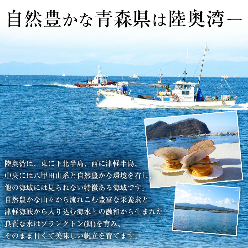 ほたて送料無料貝柱お取り寄せ青森県産刺身用ホタテ1kg生食可青森県むつ湾産の生鮮ほたて柔らかさと絶妙な甘み【帆立/1キロ】【ギフト/お歳暮/御歳暮/贈答/プレゼント】