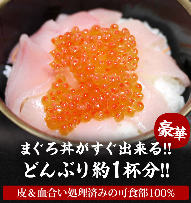 お気に入り 天然トロびんちょうマグロ 刺身 100g カット済み 養殖でも訳ありでもありません 血合い処理済み可食部100％ qdtek.vn