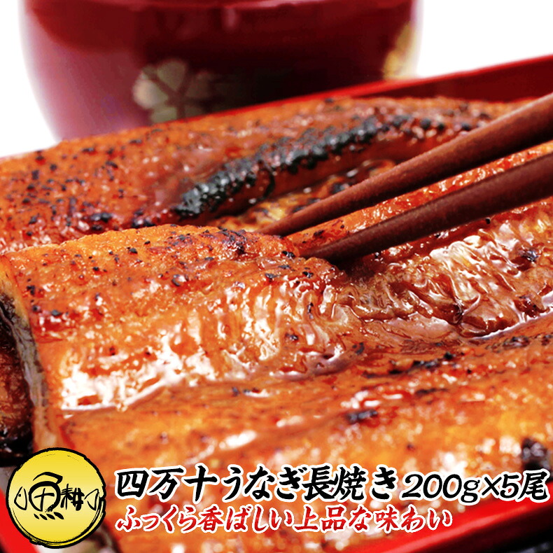 うなぎ 蒲焼き 国産 1kg 高知県 四万十産 ウナギ 超特大サイズ 長焼き 5尾×約200g 【ギフト/贈答/プレゼント/国内産/鰻/unagi】