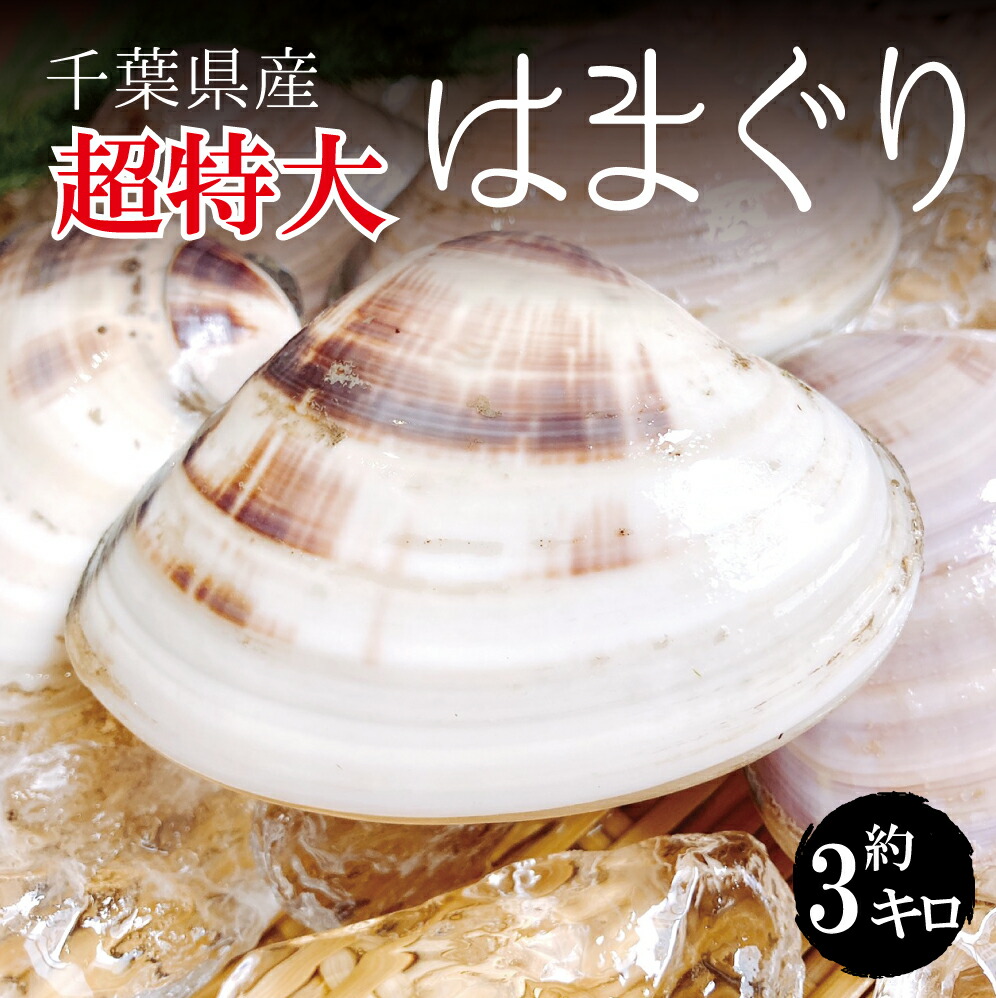 超特大 活き 天然地 はまぐり 合計約 3kg 1個約 170g 0g 15 17個 千葉県産 ハマグリ 地蛤 バーベキュー q 豊洲直送 チルド なかなかお目にかかれない高級料亭でも使用されている超特大サイズ 旨味の格が違います 더욱記者会見を開き 超特大活き地했다 이