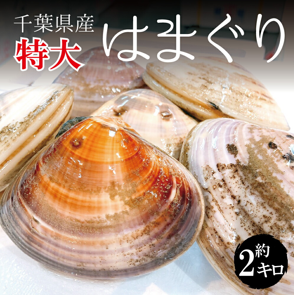 特大 活き 天然地 はまぐり 130g 160g 個 2キロ 12 15個 千葉県産 ハマグリ 地蛤 バーベキュー q 豊洲直送 チルド なかなかお目にかかれない高級料亭でも使用されている特大サイズ 旨味の格が違います 5月末まではほどよくひきしまっており適度