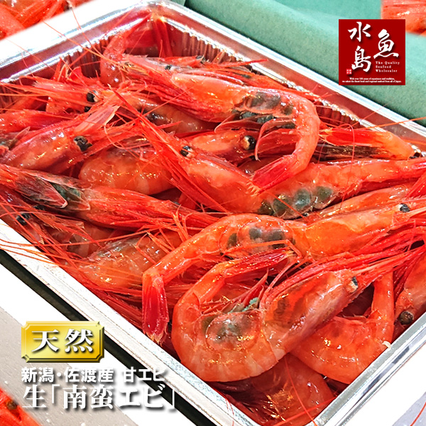 楽天市場】新潟 佐度産 天然 鰤 寒ブリ 「佐渡 寒ぶり」 3.0kg〜3.9kg