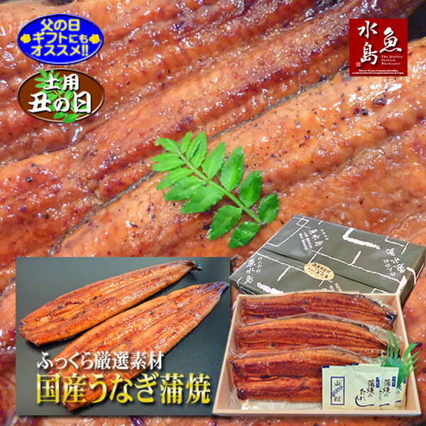 国産 鰻うなぎ蒲焼き ふっくら厳選素材 約30cm超特大 約200g×3尾【父の日ギフト】【土用丑の日】 6,650円