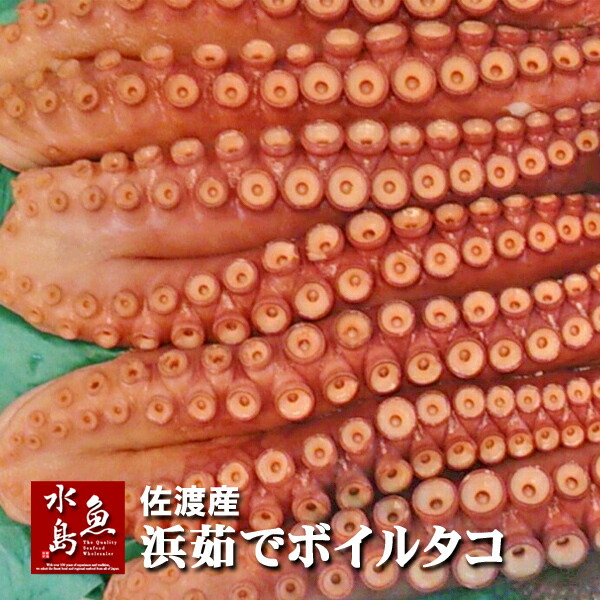 新潟・佐渡産 浜茹でボイルタコ 煮たこ 足2～3本 約1.5～1.9kg（冷凍）