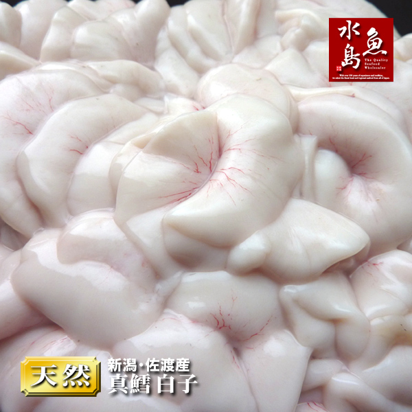 楽天市場】新潟 佐度産 天然 鰤 寒ブリ 「佐渡 寒ぶり」 10.0kg〜11.9