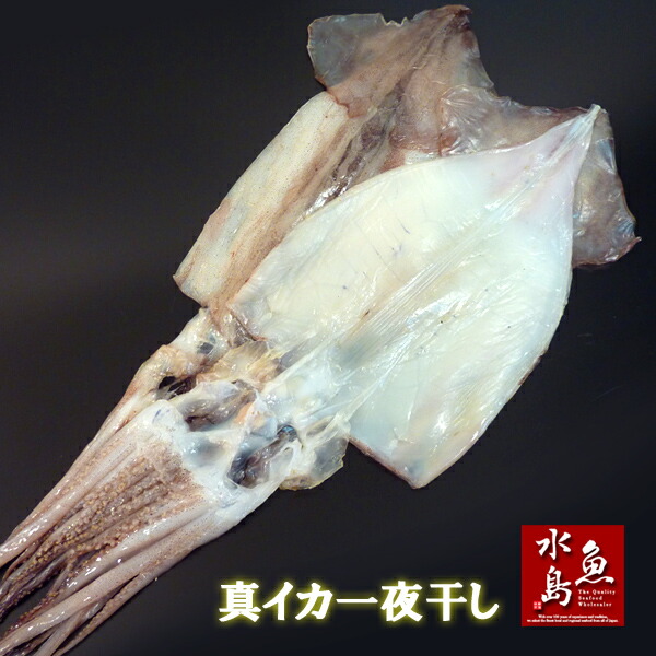 佐渡産　干しいか（真イカ）1kg   無添加するめ　無塩　あたりめ 佐渡産 干しいか（真イカ）1kg 無添加するめ 無塩 あたりめ