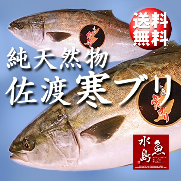 楽天市場 新潟 佐度産 天然 鰤 寒ブリ 佐渡 寒ぶり 5 0kg 5 9kg 一尾丸もの 送料無料 日本海の幸 新潟 魚水島