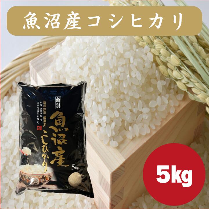 楽天市場】新潟県産 つきあかり 5kg 米 令和7年産 白米 精米 送料無料