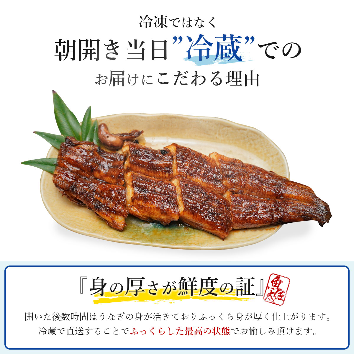 本店は うなぎ国産 鰻蒲焼き愛知県産 鰻 蒲焼 大3尾 御贈答用 竹ひご箱入 新鮮 国産 冷蔵発送 贈答品 贈り物 うなぎ ウナギ うなぎの蒲焼 鰻生産高第二位愛知産 市町村別鰻生産高第一位 一色産 土用丑 土用の丑 うなぎかば焼き 贈り物 激安特価 Madah Kemdikbud Go Id