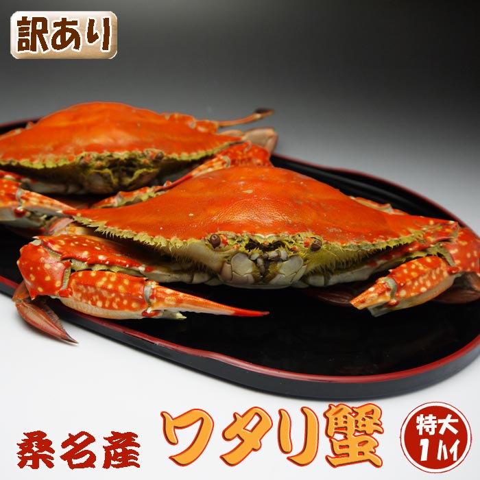 楽天市場 送料無料 愛知県産 活〆 渡り蟹 ワタリガニ ガザミ かに メス 1kg 3匹 5匹 内子 内子入り始めました 日付指定不可 まると水産