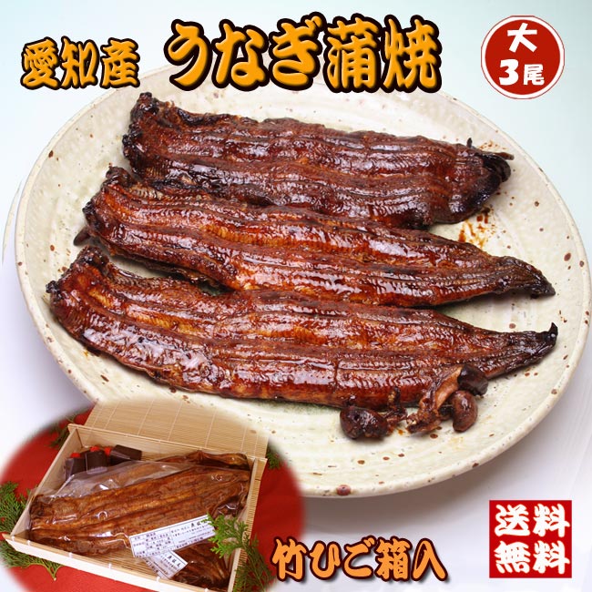 うなぎ国産 鰻蒲焼き愛知県産 鰻 蒲焼 【大3尾】御贈答用【竹ひご箱入】 新鮮 国産 冷蔵発送 贈答品 贈り物 うなぎ ウナギ うなぎの蒲焼 鰻生産高第二位愛知産 市町村別鰻生産高第一位 一色産 土用丑 土用の丑 うなぎかば焼き 贈り物