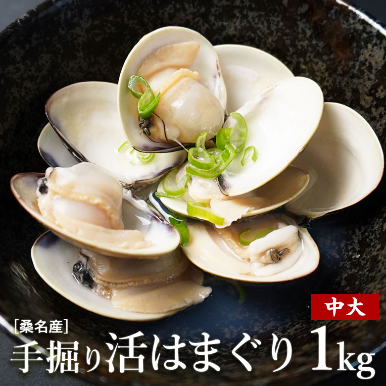 楽天市場 ハマグリ 国産 天然 中大サイズ 1kg 贈り物 包装 熨斗対応 送料無料 桑名産 三重県桑名産 活け蛤 産地直送 活け はまぐり 活け ハマグリ 生貝 活貝 活け貝 シーフード ギフト プレゼント 母の日 お中元 御歳暮ギフト 酒蒸し 魚介類 活蛤 国産 バーベキュー