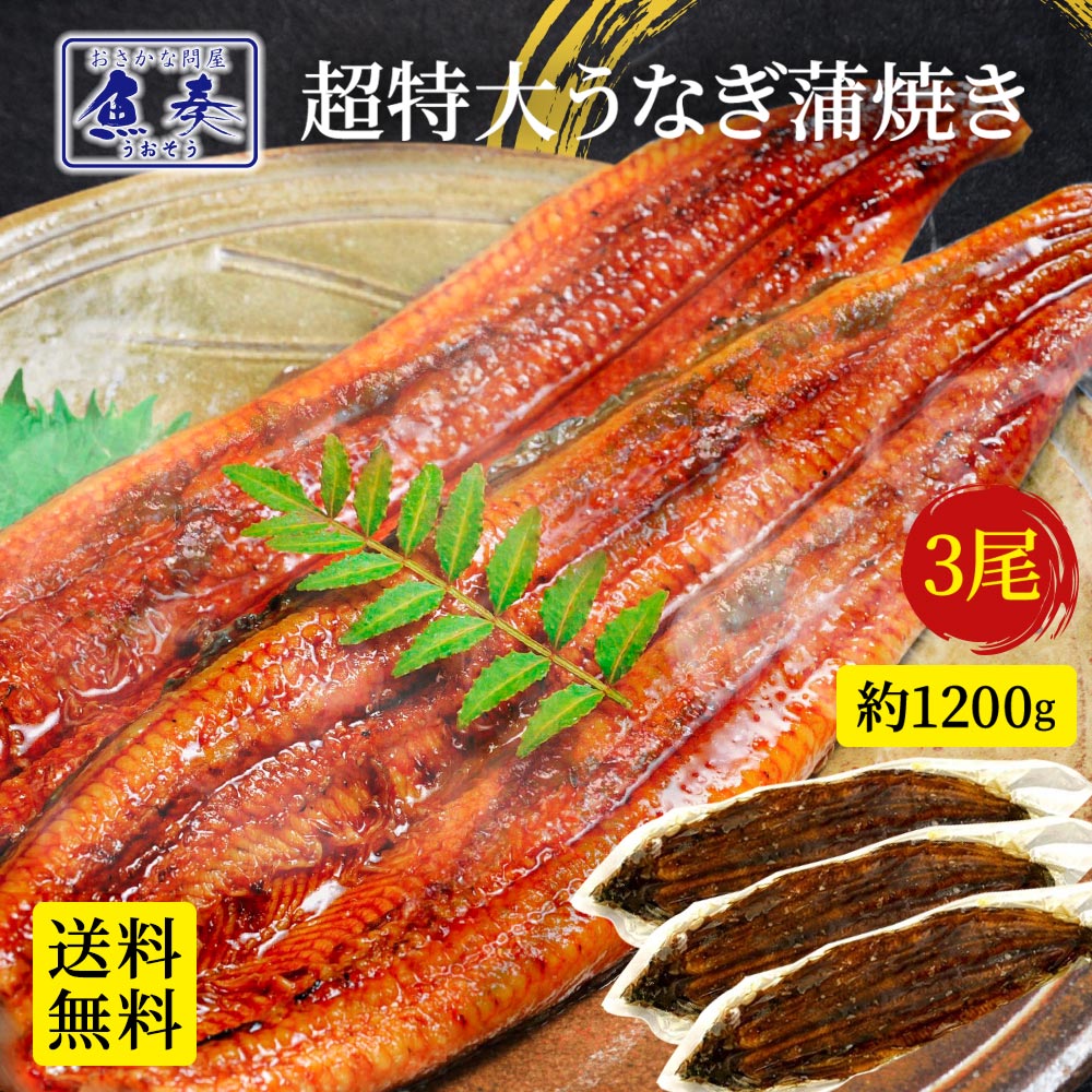 うなぎ 3尾 ウナギ 鰻 蒲焼き 長蒲焼 送料無料  訳あり 土用の丑の日うな丼 う巻き 中国産 内祝い unagi セット 惣菜 食品 食べ物 たれ おにぎり 人気 訳あり 規格外 母の日 父の日 ギフト 間に合う プレゼント 還暦 誕生日 真空パック 化粧箱入り 祝い