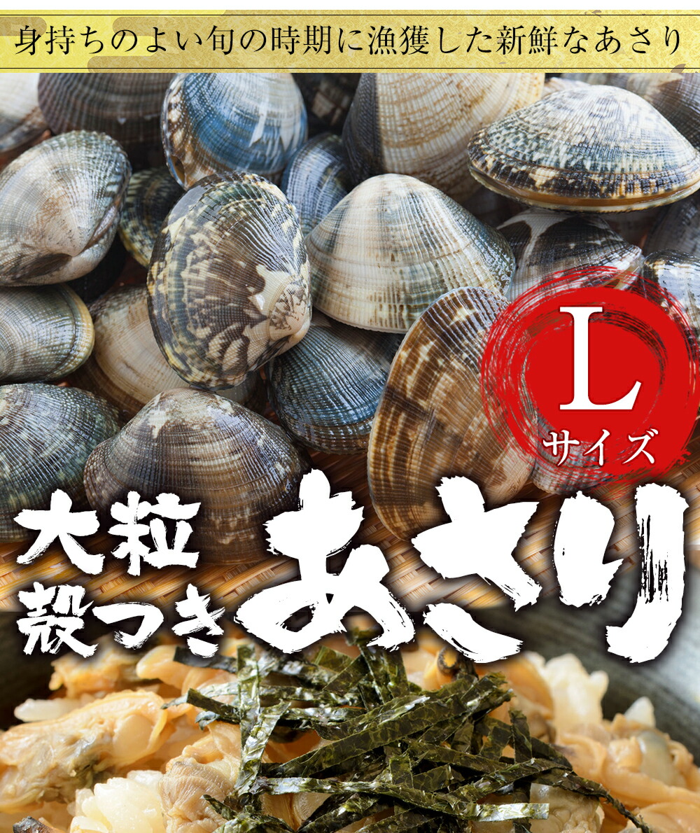 市場 大粒あさり貝 お吸い物 パスタ 旬期凍結品 1kg 殻付 ボイル真空 あさり 貝付 酒蒸し アサリ お試し 大粒 浅利 バター焼き 味噌汁