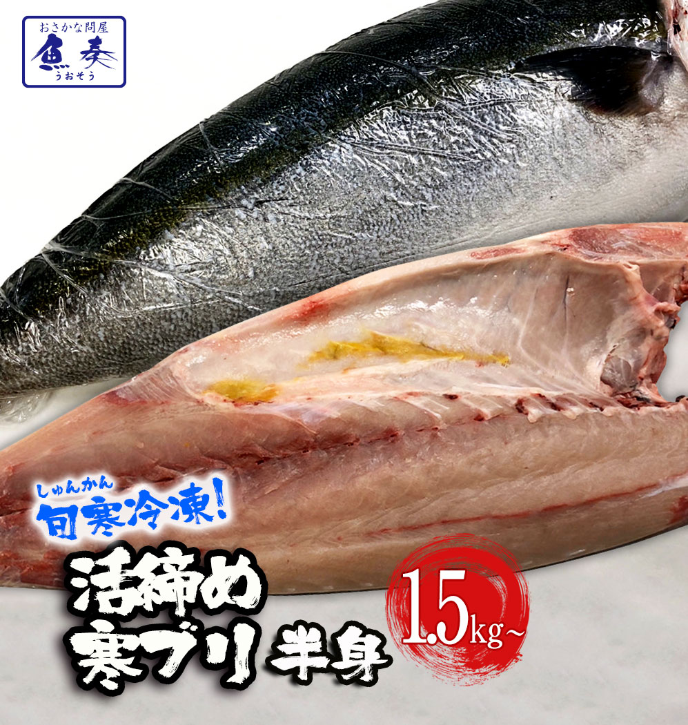 楽天市場 期間限定4800円 冷凍配送 ぶり ブリ 鰤 寒ブリ 半身 約1 5kg 大分産 お刺身用 送料無料 冷凍 ぶりしゃぶ 忘年会 お歳暮 おろし済み 贅沢グルメ 注意 北海道 沖縄は追加送料を997円加算し ご請求いたします お取り寄せ ブリしゃぶ おさかな問屋