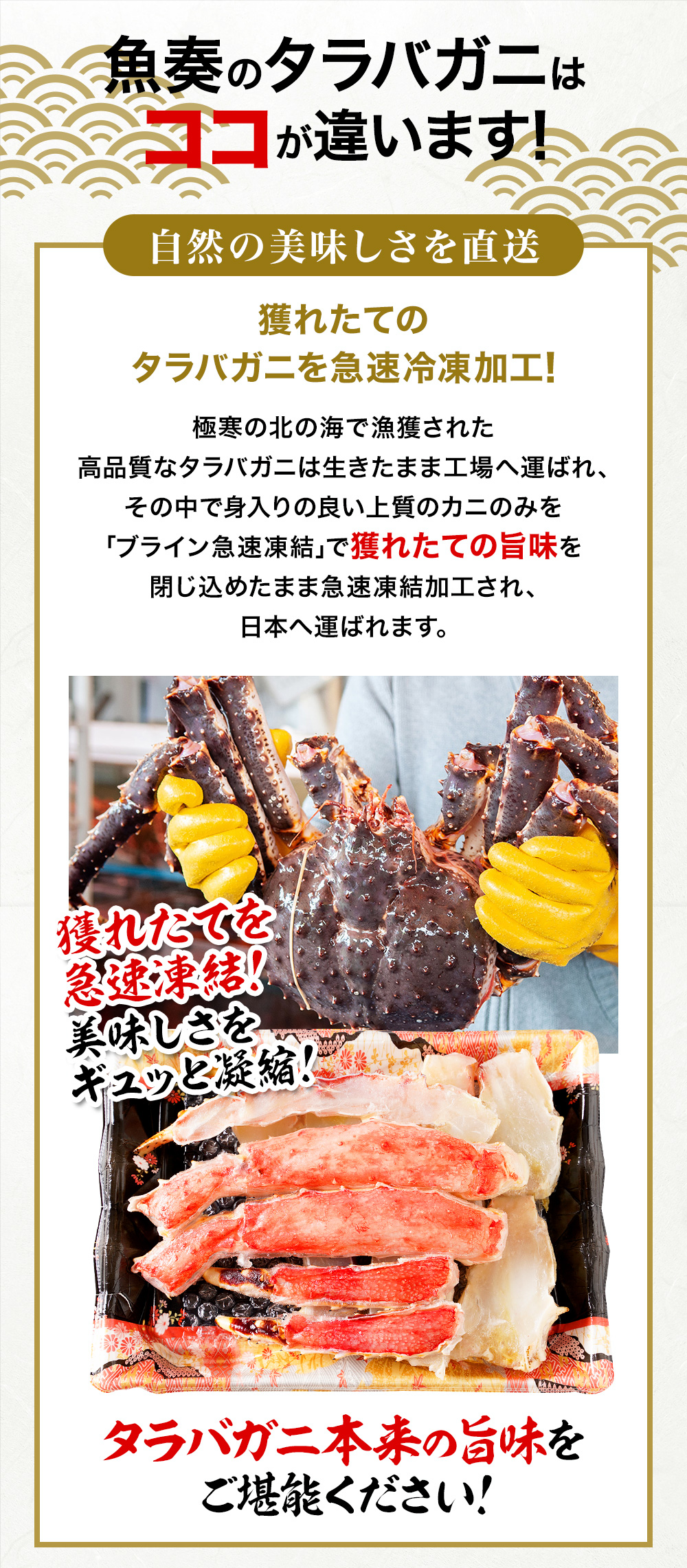 楽天市場 送料無料 カット 生 タラバガニ 総重量1 6kg かに カニ 蟹 たらばがに しゃぶしゃぶ かに ハーフポーション 焼き蟹 送料無料 かにしゃぶ かに鍋 お取り寄せ お試し 生 むき身 カニしゃぶ カニ鍋 かに爪 カニ爪 蟹爪 おさかな問屋 魚奏 楽天市場店