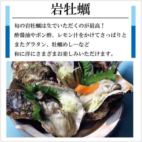 天然貝セットC【岩牡蠣4個〈割って〉、アワビ2個、サザエ4個】