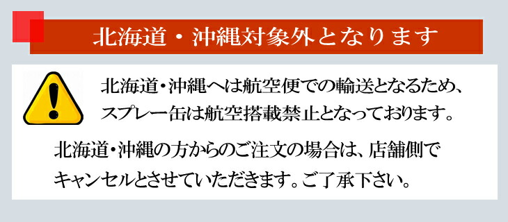 22 Off 送料無料 本セット 防水スプレー アメダス 4ml アメダス 大容量 防水スプレー 防水 スプレー 雨 雪 フッ素 手入れ メンテナンス 革 鞄 靴 革製品 スノボ スノーボード スキー レジャー アウトドア ウィンタースポーツ コロンブス 北海道 沖縄対象外 Sermus Es