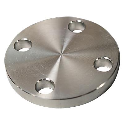 フローバル 【形式：SUS-10K-BL-FF-100A 商品コード：14100579】 SUS304 10K(閉止)フランジ BL-FF-100A