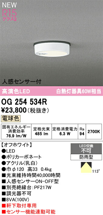 オーデリック エクステリアライト 【OG254534R】【OG 254 534R】