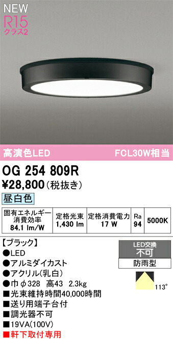 オーデリック エクステリアライト 【OG254809R】【OG 254 809R】