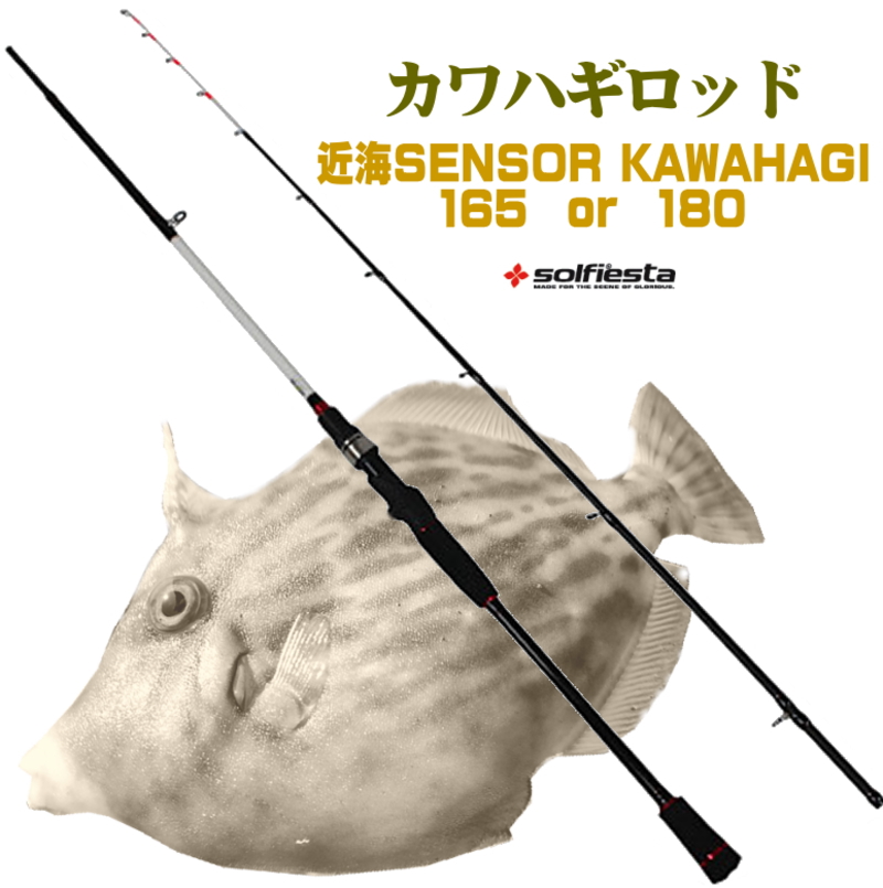 DAIWA - カワハギ竿　リール、仕掛け付き 楽天市場】デジタルカウンターリール付 船カワハギ セット