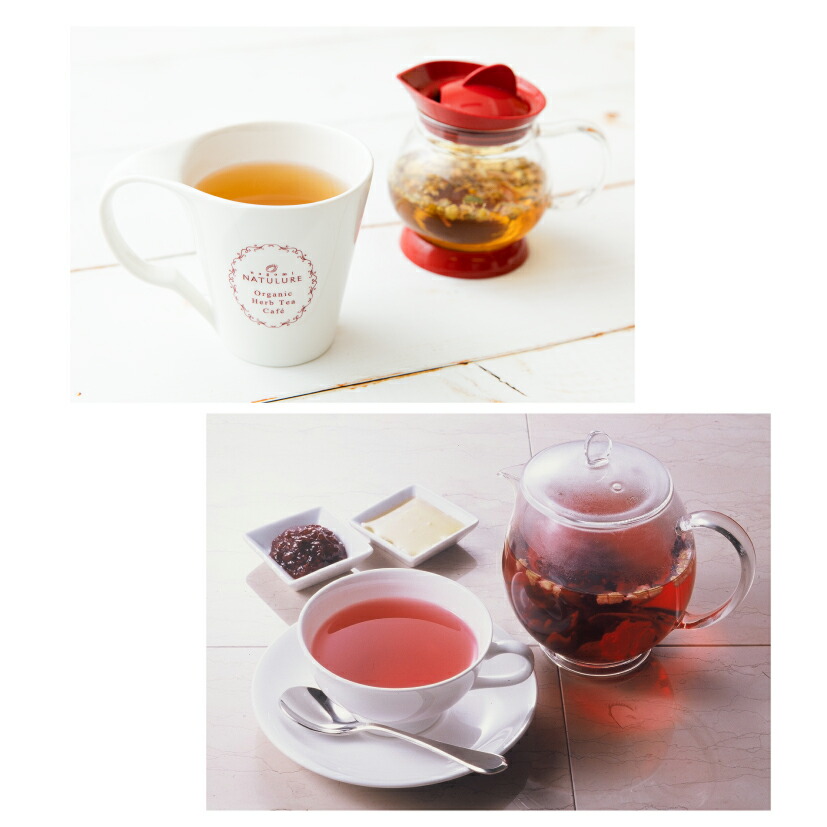 楽天市場 1000円ポッキリ お試し ハーブティーセット ティーバッグ 安眠 オーガニック ハーブティー カモミールティー ルイボス ローズヒップ エキナセア ノンカフェイン 自律神経 お茶 効能 パック 睡眠 種類 リラックス アソート 送料無料 おすすめ 専門店 人気