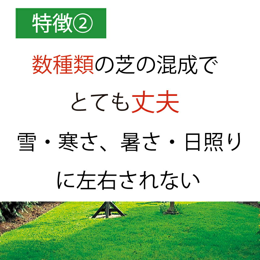 市場 芝生の種 種まき 944g Newカナダグリーン 混合 おすすめ 芝 1袋 天然芝生 密集推奨平方メートル オールシーズン 最大90平方メートル