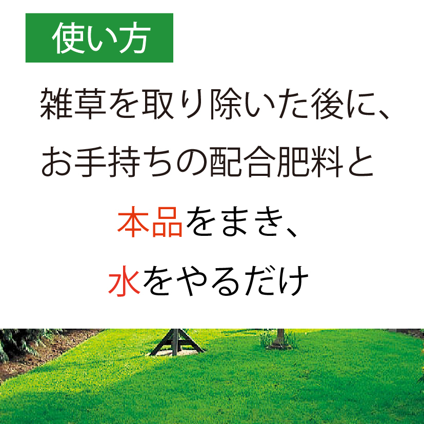 市場 芝生の種 NEWカナダグリーン おすすめ オールシーズン 種まき 1袋 最大90平方メートル 芝 944g 天然芝生 密集推奨20平方メートル  混合