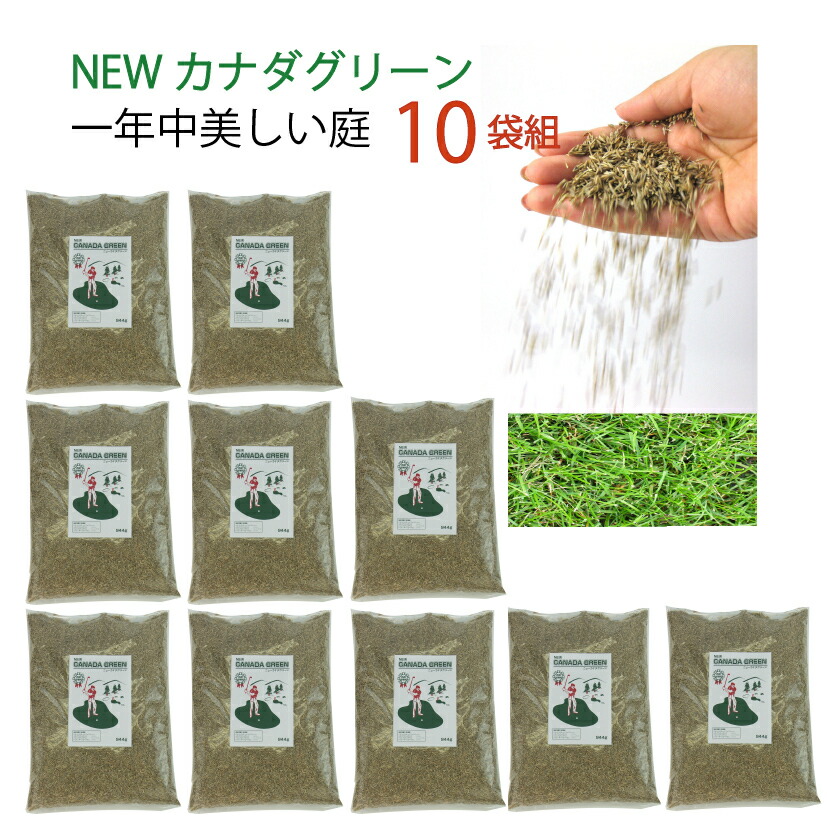 大売り出し特設会場