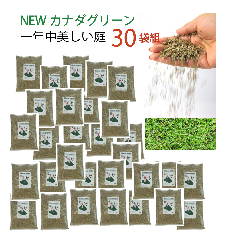 春物がお買い得 週末限定sale 30袋組 芝生 種 混合 1袋 944g おすすめ 芝 全袋使用で密集の場合 推奨600平方メートル 最大2700平方メートル 1袋あたり価格5500円 種まき Newカナダグリーン 天然芝生 緑芝 西洋芝 洋芝 ミックス 種子 ガーデングラス 最高の