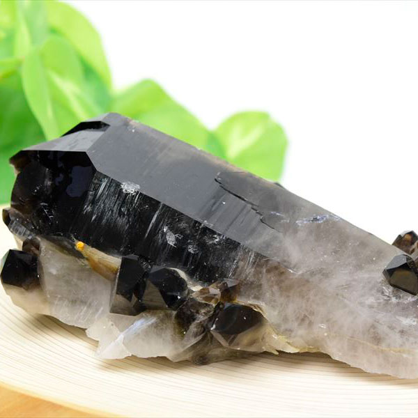 ■アーカンソー州産■ 黒水晶 スモーキークォーツ クラスター ポイント 原石 極太結晶 ◆現物画像◆ 【約814g】 アーカンソー産|水晶|スモーキークォーツ|クリスタルクラスター|群晶|原石|天然石|パワーストーン ■39ショップ■